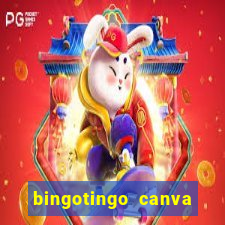 bingotingo canva pro gratis